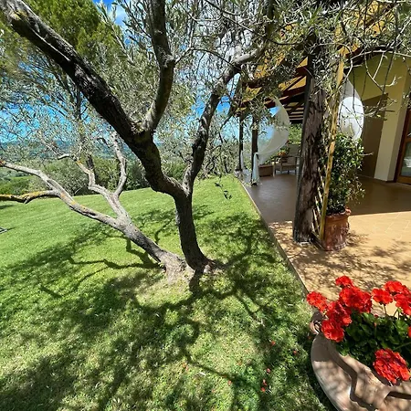 Between Montefalco And Bevagna - 3 Kms Walk To Shops, Bars And Restaurants