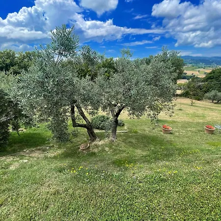 Between Montefalco And Bevagna - 3 Kms Walk To Shops, Bars And Restaurants